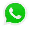 WhatsApp us